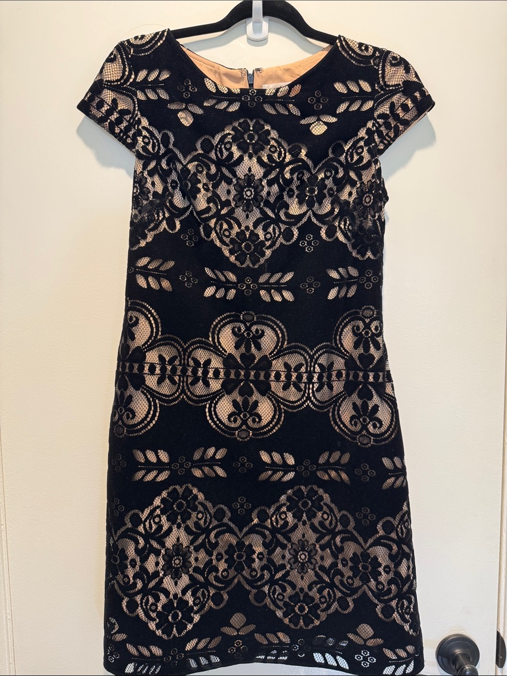Eliza J Black Lace Overlay Dress with Nude Underlay